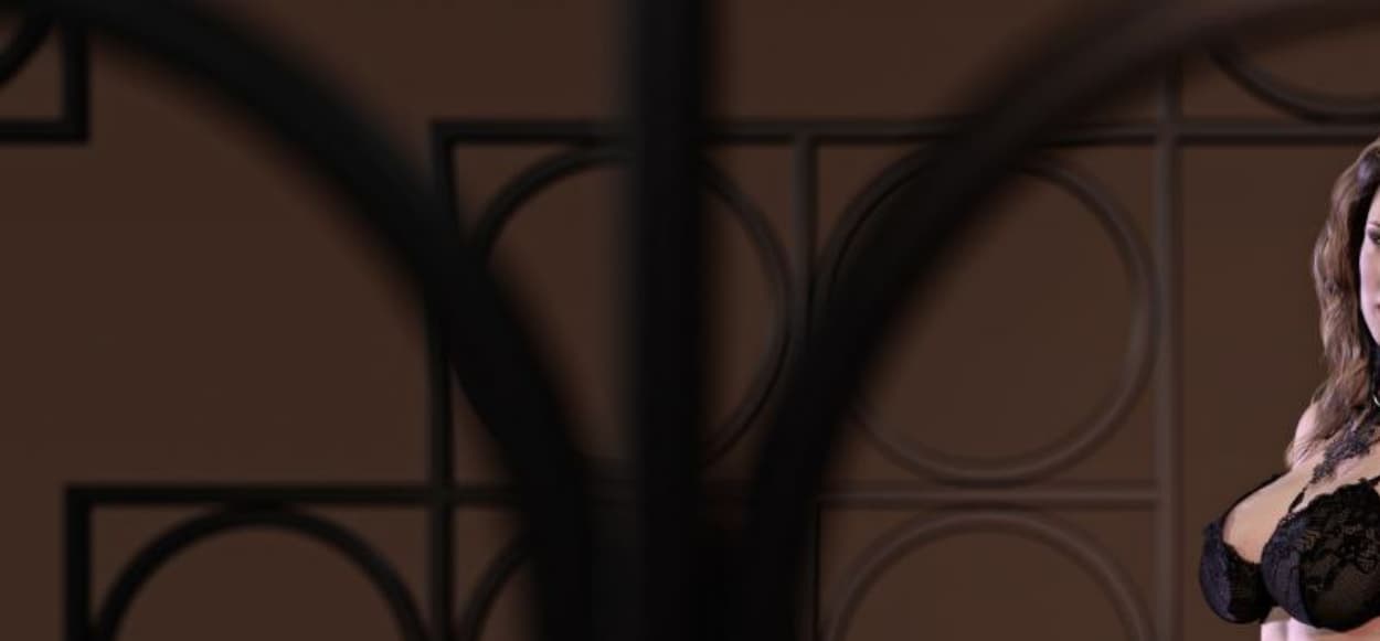 【欧美SLG/汉化/动态】妻子与母亲同人番外2篇 v0.9 汉化版【PC+安卓/2.5G】-七七游报