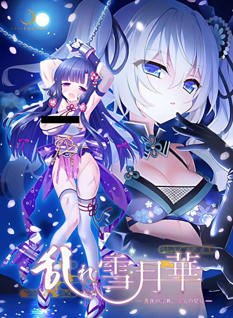 乱れ雪月華 ～月夜の淫舞、狂気の契り～中文攻略