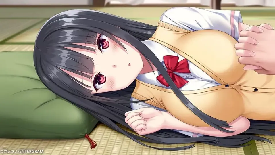 姫宮さんはかまいたい中文攻略