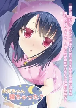 お兄ちゃん寝ちゃった?中文攻略