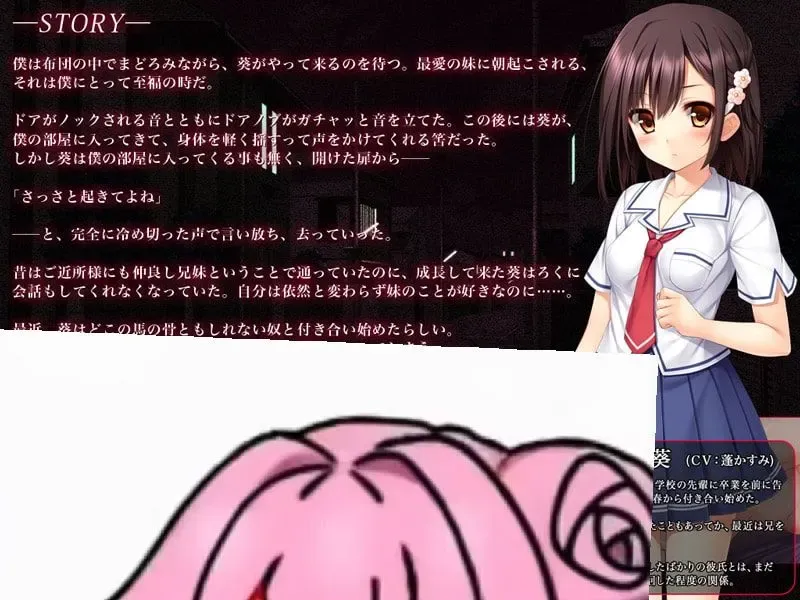 妹妹寝取身心都是哥哥的所有物中文攻略
