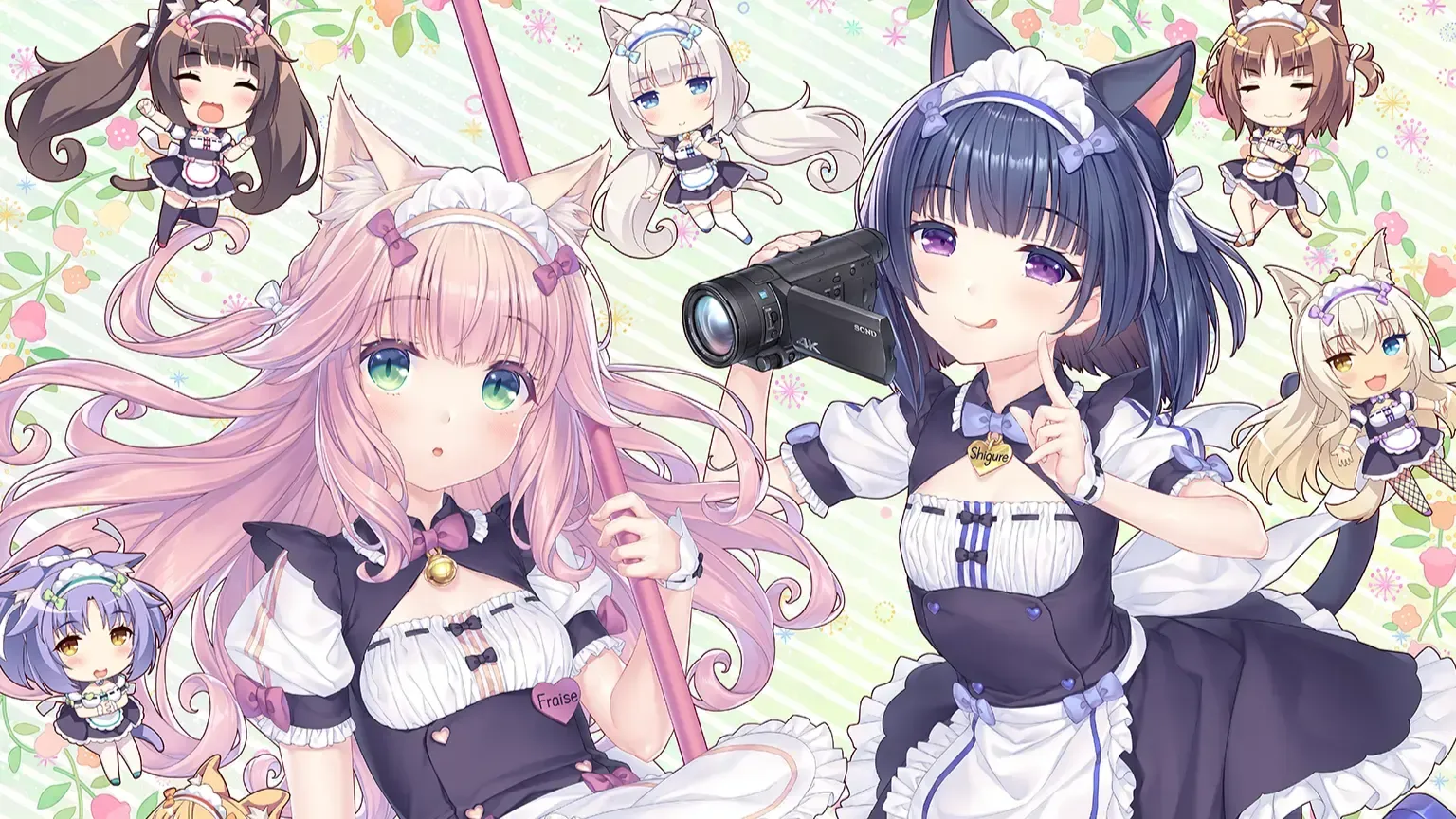 猫娘乐园 After中文攻略