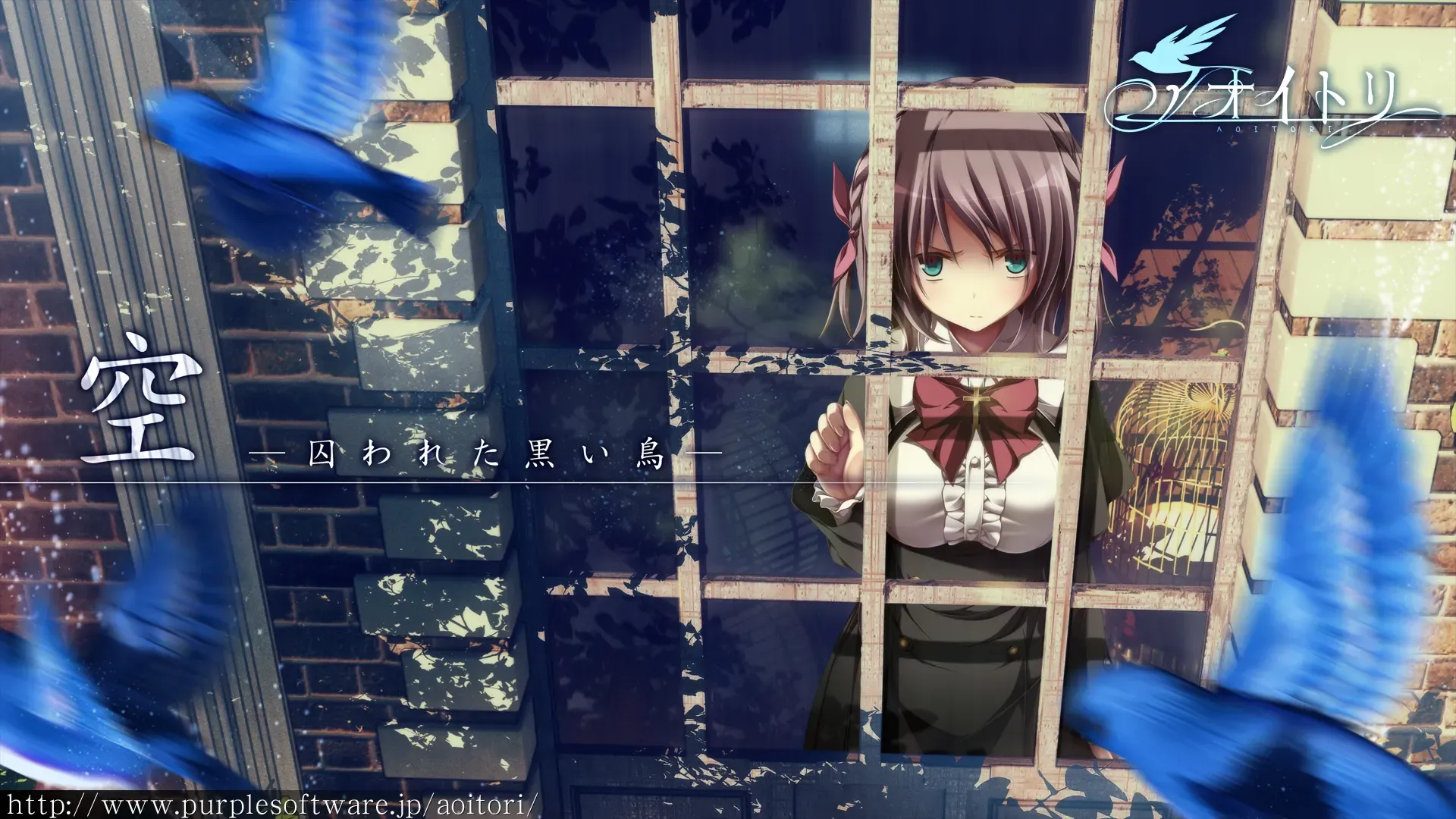 青鸟中文攻略