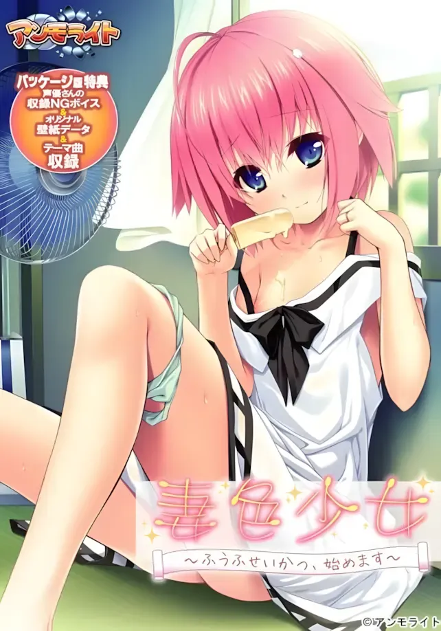 妻色少女 ~ふうふせいかつ、始めます~中文攻略