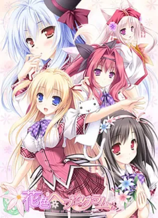 花色七芒星中文攻略