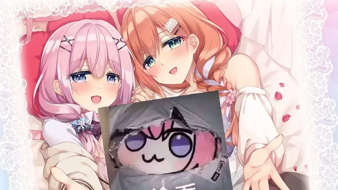妹(姉)は兄(弟)の性癖を歪ませたい!中文攻略