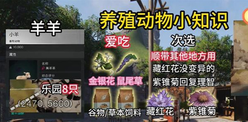 《七日世界》动物抓捕攻略-七七游报