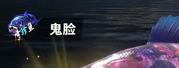 《欢乐钓鱼大师》最稀有的鱼介绍一览