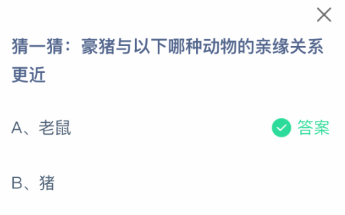 猜一猜豪猪与以下哪种动物的亲缘关系更近