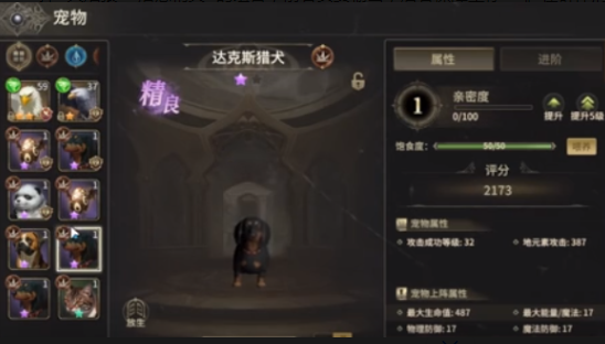 《奇迹世界：起源》战士宠物推荐攻略