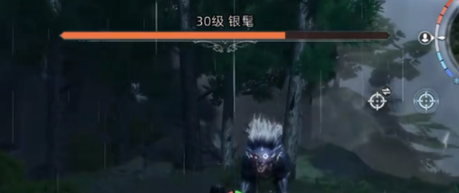 《荒原曙光》银鬓位置一览