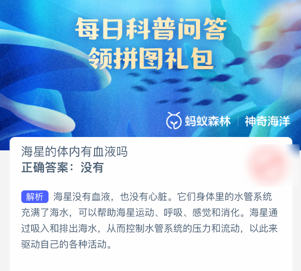 海星的体内有血液吗-七七游报