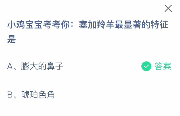 小鸡宝宝考考你：塞加羚羊最显著的特征是-七七游报