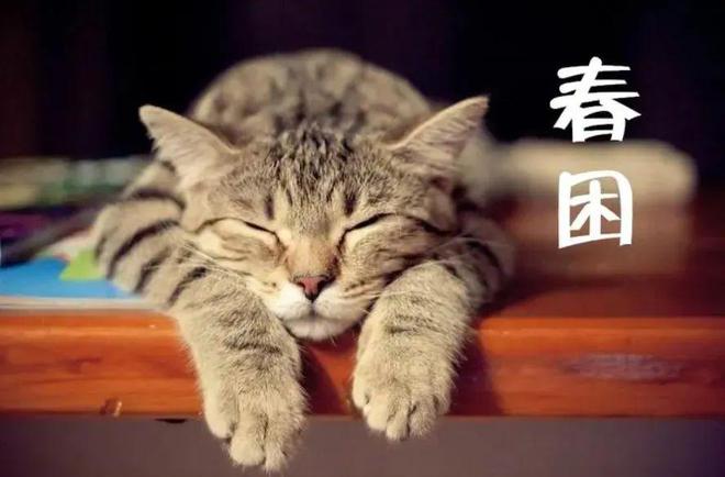 想要缓解春困,以下哪种方法更有效-七七游报