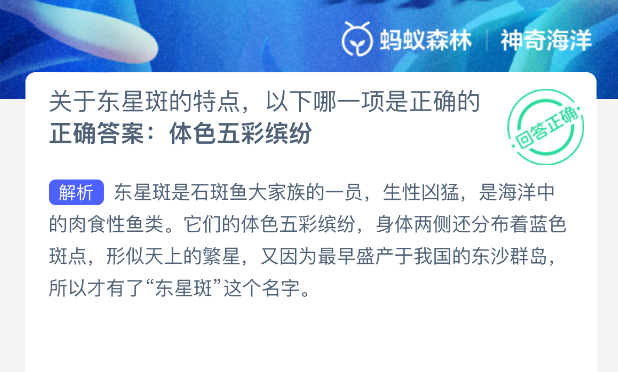 关于东星斑的特点，以下哪一项是正确的-七七游报