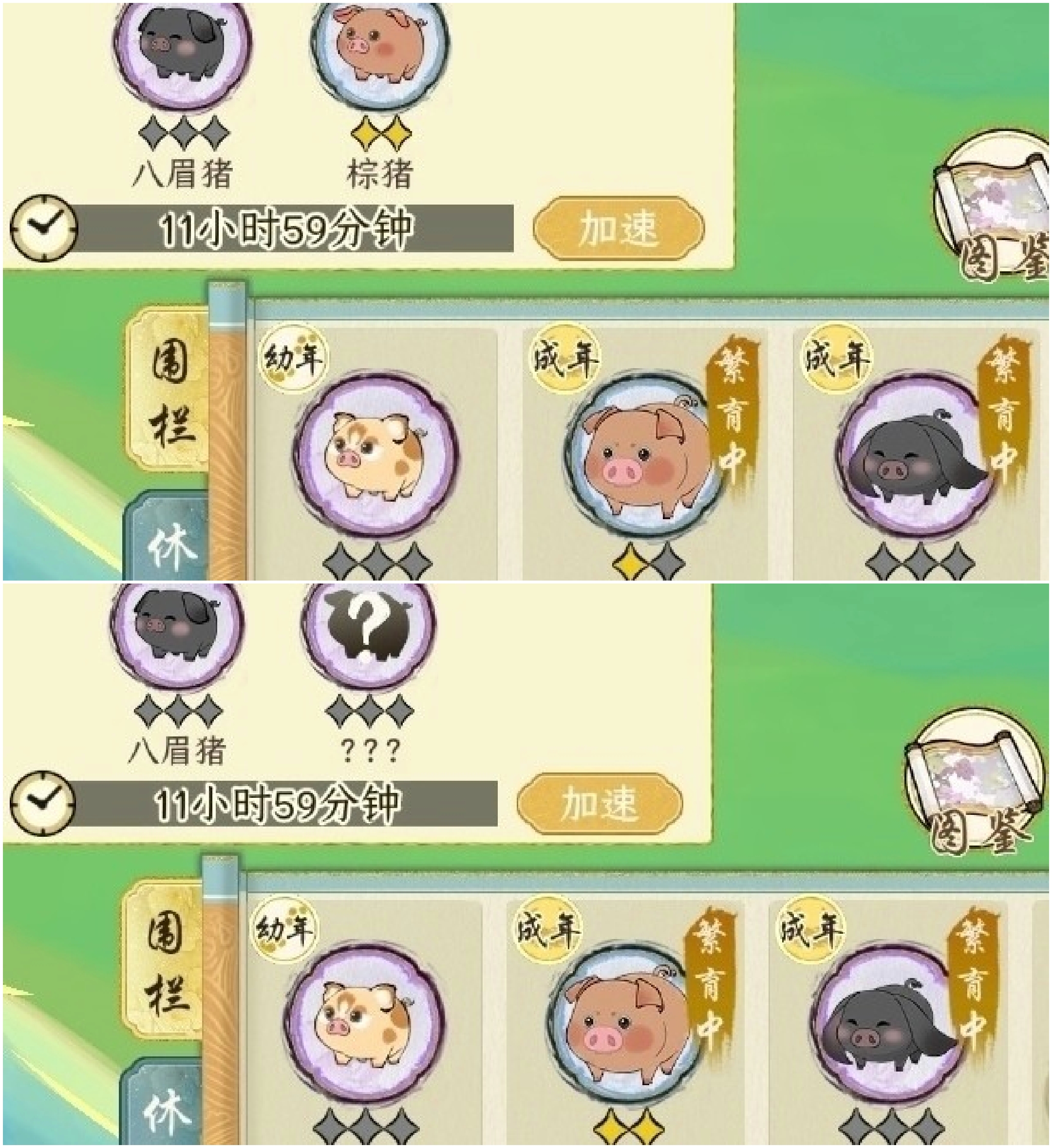 《华夏千秋》猪猪图鉴攻略