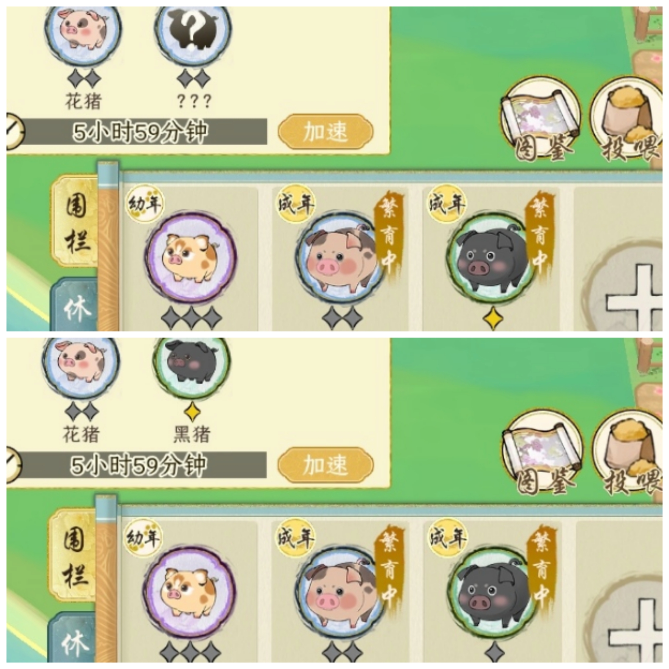 《华夏千秋》猪猪图鉴攻略