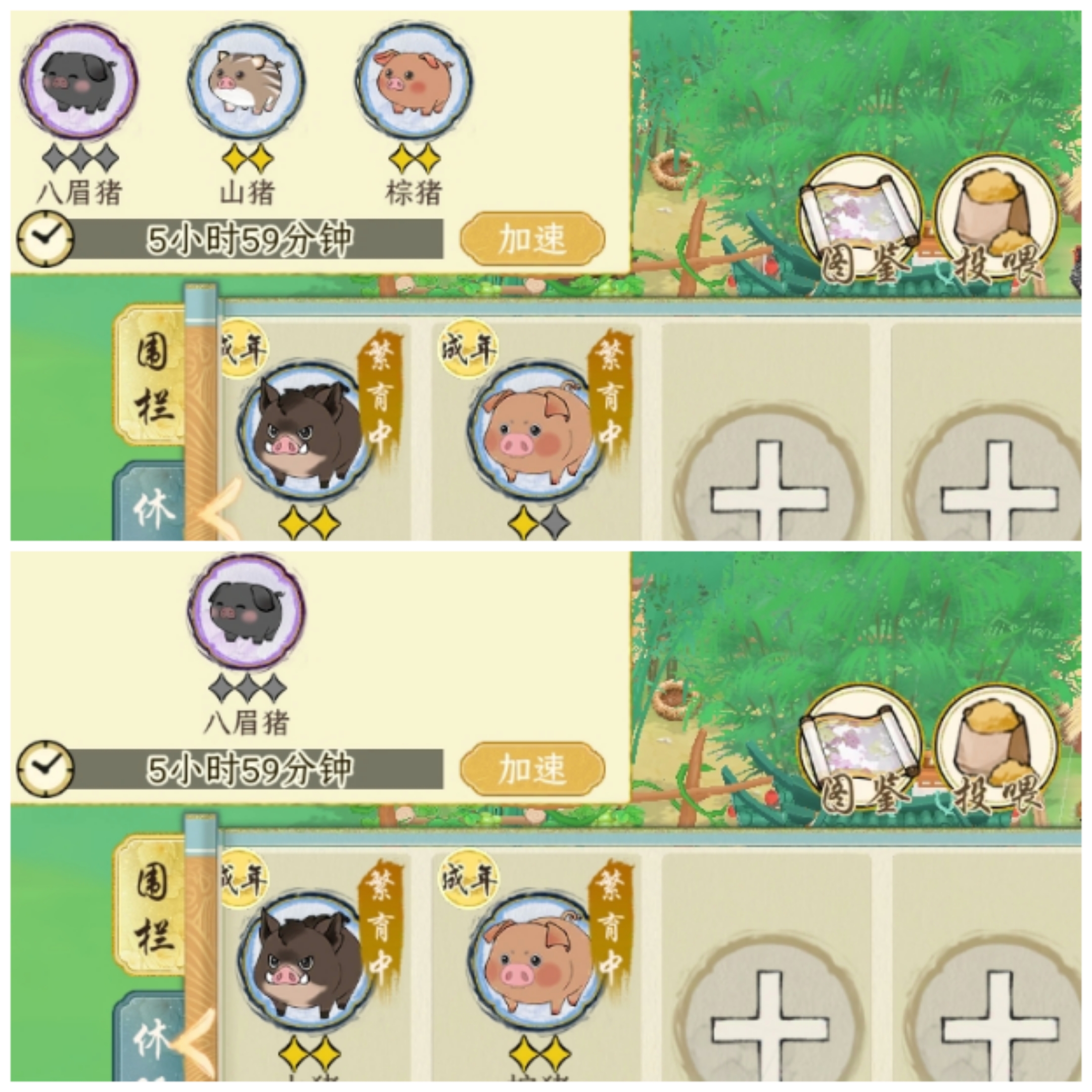 《华夏千秋》猪猪图鉴攻略