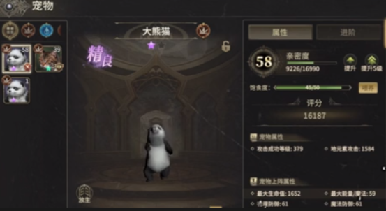 《奇迹世界：起源》战士宠物推荐攻略