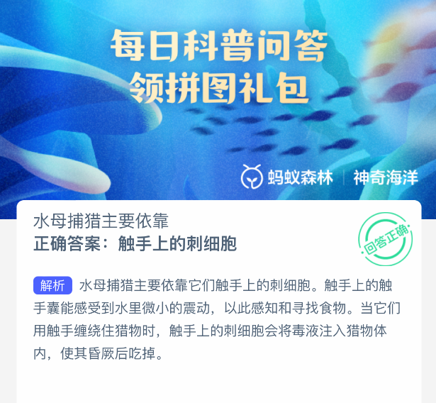 水母捕猎主要依靠