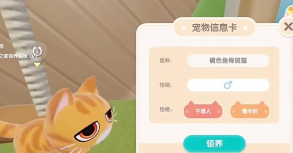 《心动小镇》养猫攻略一览-七七游报