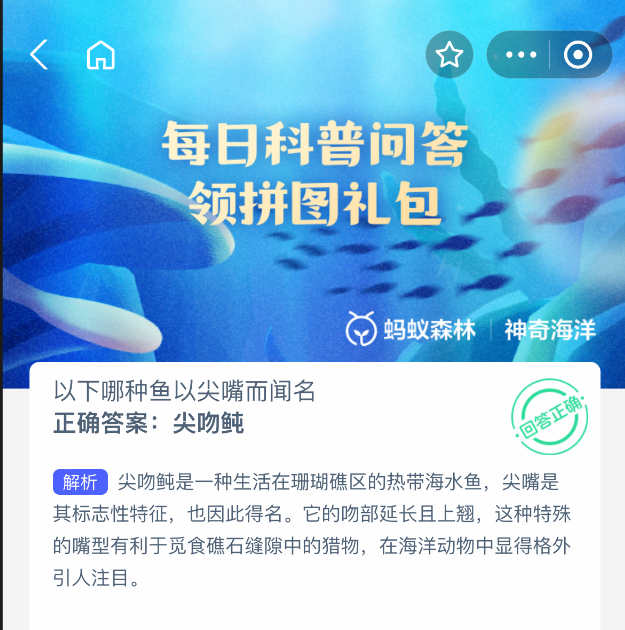 以下哪种鱼以尖嘴而闻名