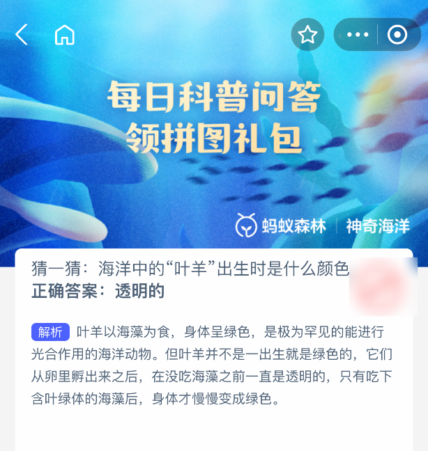 海洋中的叶羊出生时是什么颜色-七七游报