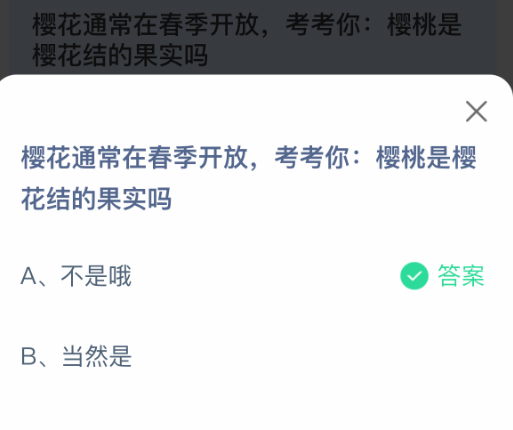 樱花通常在春季开放,考考你樱桃是樱花结的果实吗