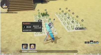 星痕共鸣家园系统功能介绍