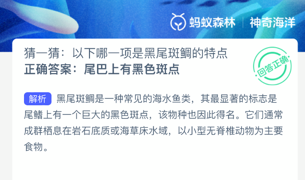 猜一猜以下哪一项是黑尾斑鲷的特点