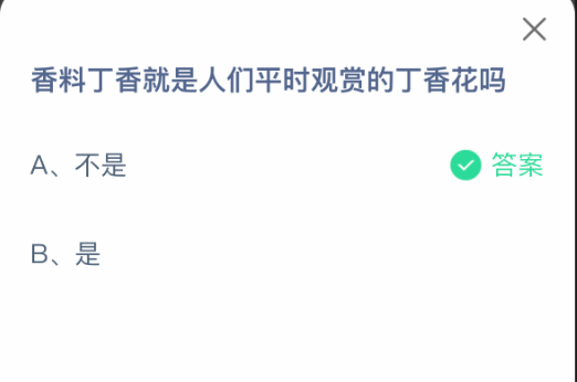 香料丁香就是人们平时观赏的丁香花吗