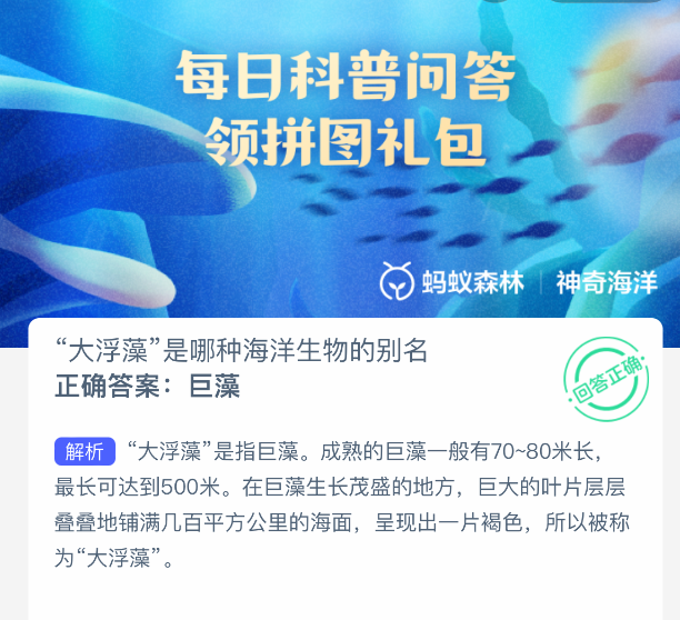 “大浮藻”是哪种海洋生物的别名