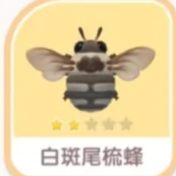 《心动小镇手游》白斑尾梳蜂刷新位置一览