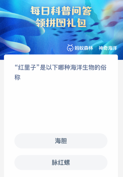 “红里子”是以下哪种海洋生物的俗称-七七游报