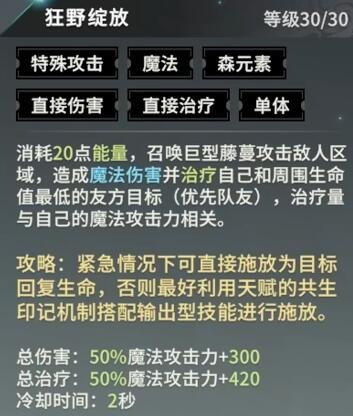 《星痕共鸣》辅助阵容推荐