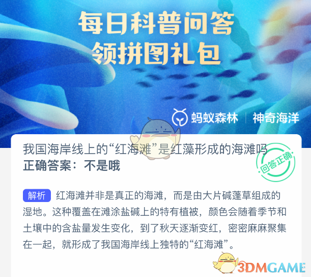 我国海岸线上的“红海滩”是红藻形成的海滩吗