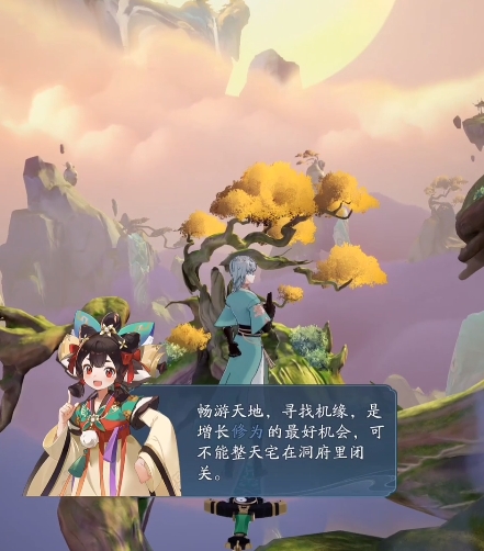 《踏风行》放置阵容一览