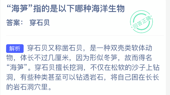 海笋指的是以下哪种海洋生物