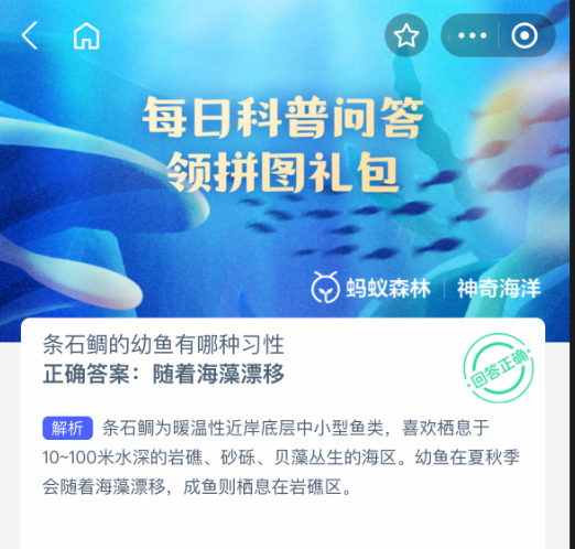 条石鲷的幼鱼有哪种习性-七七游报
