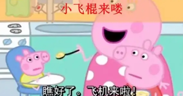 小飞棍来咯梗介绍