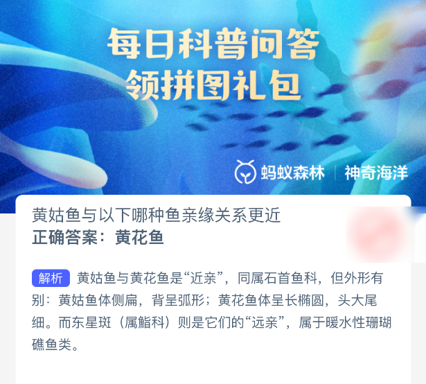 黄姑鱼与以下哪种鱼亲缘关系更近-七七游报