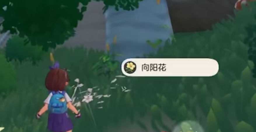 《洛克王国:世界》前期攻略