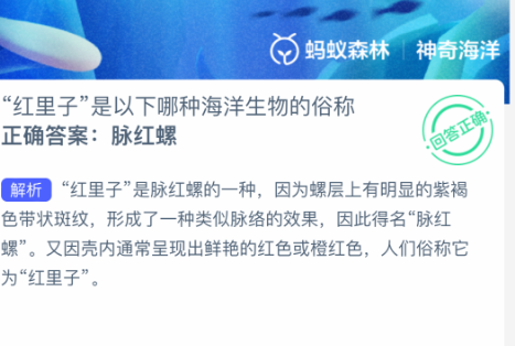 “红里子”是以下哪种海洋生物的俗称