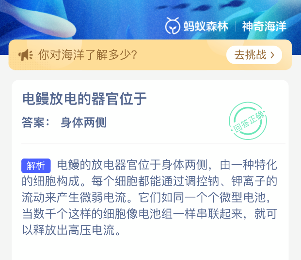 电鳗放电的器官位于
