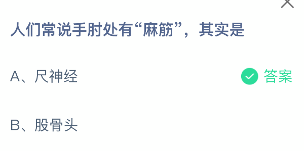 人们常说手肘处有麻筋其实是