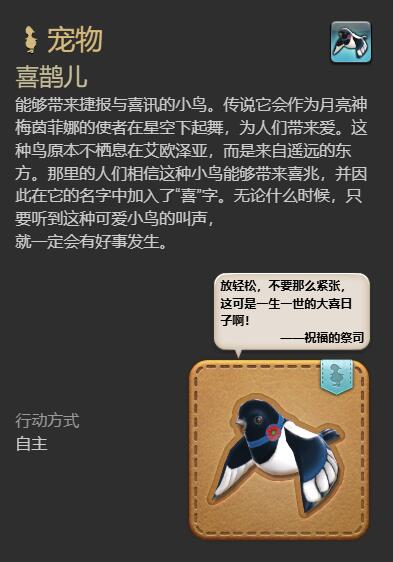 《最终幻想14:水晶世界》喜鹊儿宠物获得方法