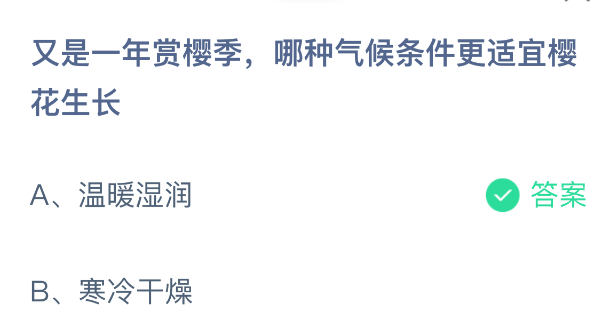 又是一年赏樱季,哪种气候条件更适宜樱花生长