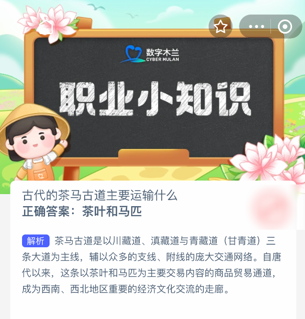 古代的茶马古道主要运输什么-七七游报