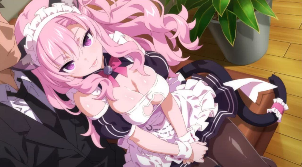 樱花兔女郎2：心动时刻 | Sakura Bunny Girls 2