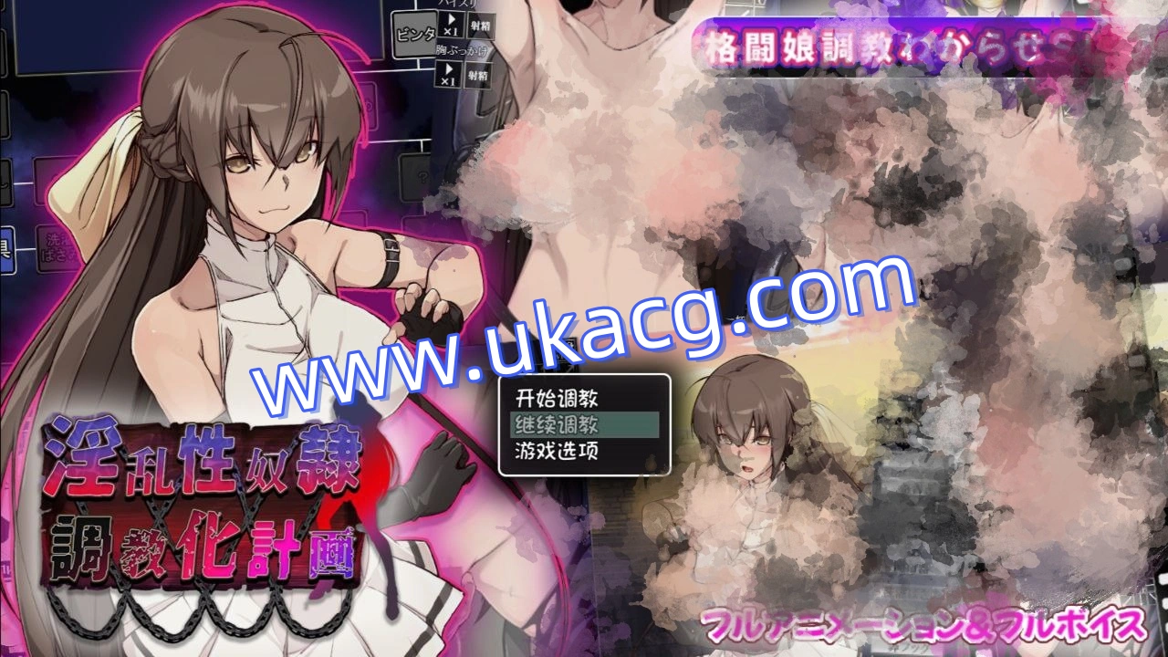 淫乱性奴隶调教化计划Ver2.1